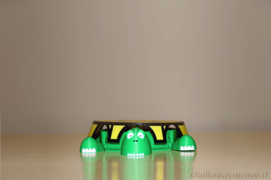 Tortuga Posavasos