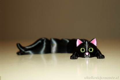 Gatitos Flexibles - Aliados de Escritorio